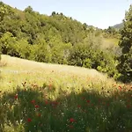 In