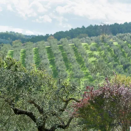 Сasa de vacaciones In