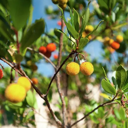 In Сasa de vacaciones Giano dellʼUmbria