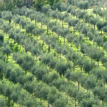 Holiday home Farmhouse In Giano Dell'Umbria With Jacuzzi, Swimming Pool *