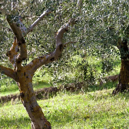 Farmhouse In Giano Dell'Umbria With Jacuzzi, Swimming Pool * Giano dell'Umbria