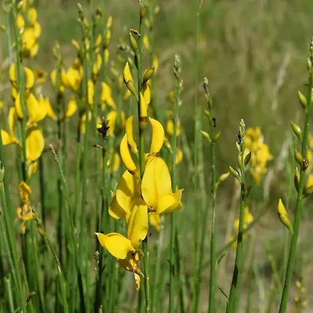 Сasa de vacaciones In