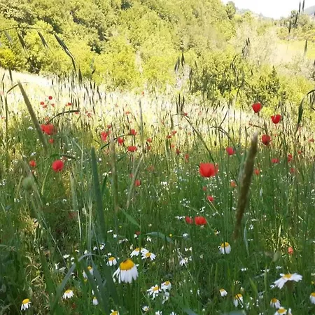 In Сasa de vacaciones